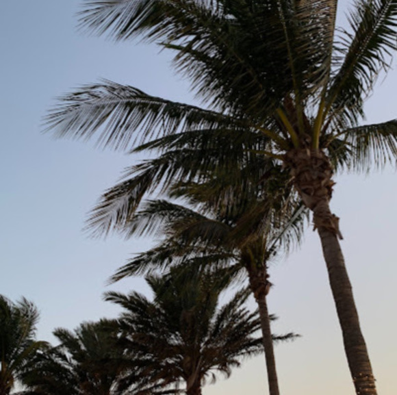 Meet your Posher, Chloe elyse - Picture 1 of 1